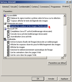 sous Internet Explorer